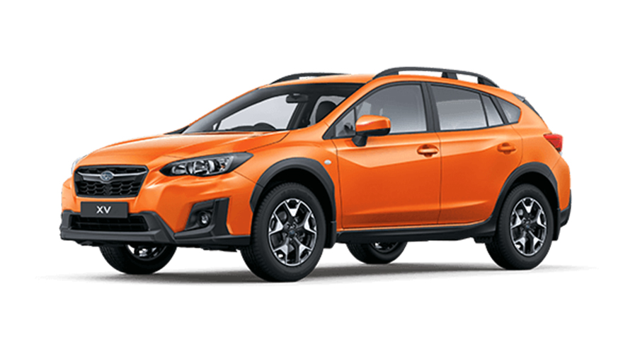 XV : 2019